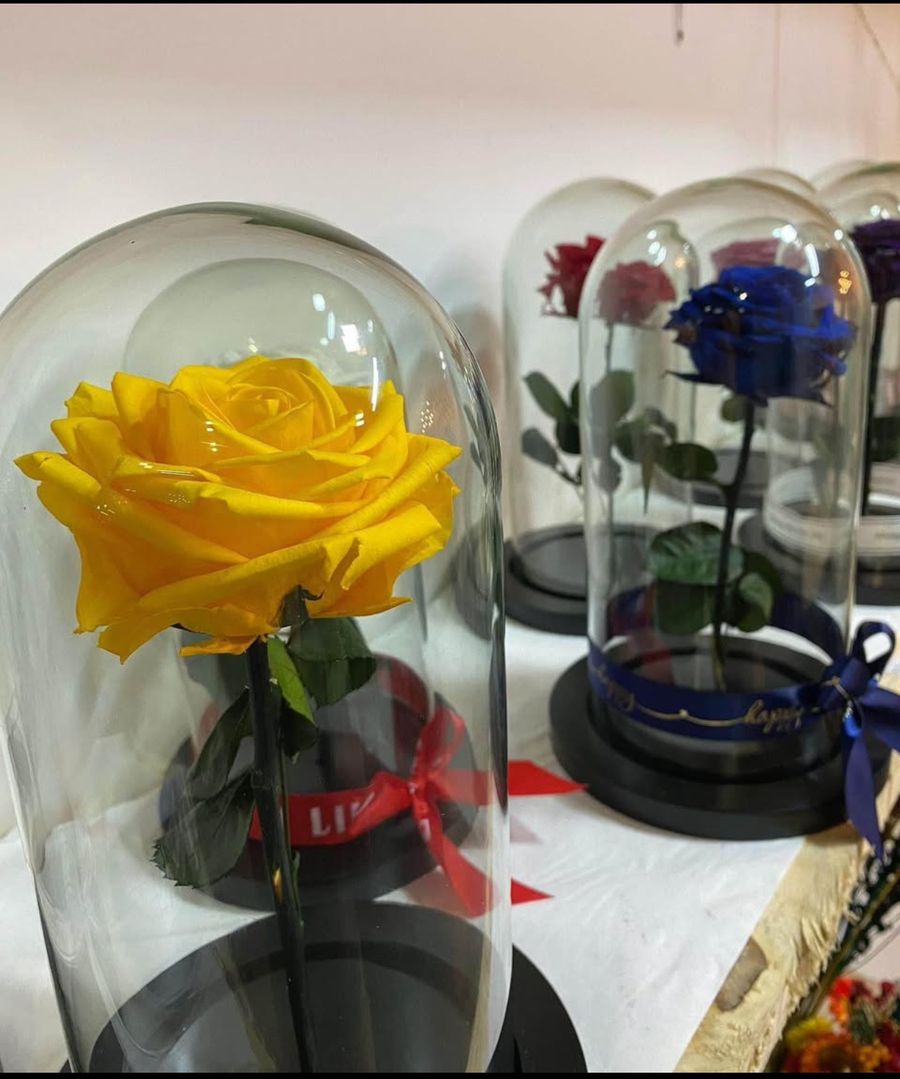 Rosa preservada