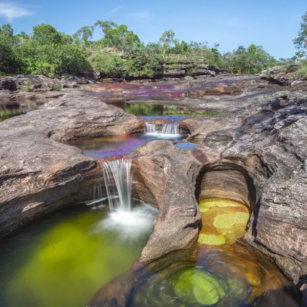 Caño Cristales
